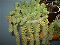 c13a6437-Picture 5304.jpg